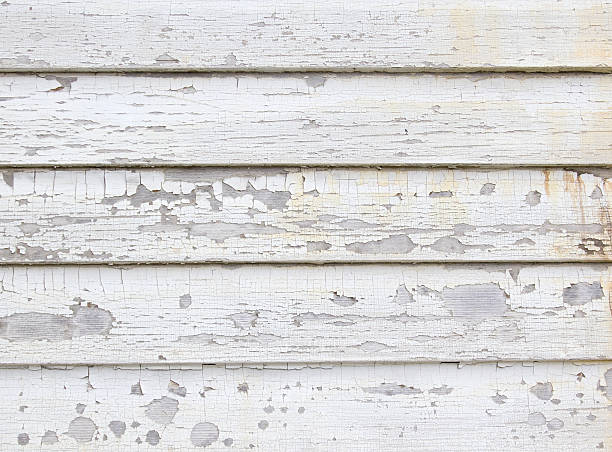 Best Wood Siding Installation  in Havelock, NC